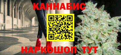 шишки Камышлов