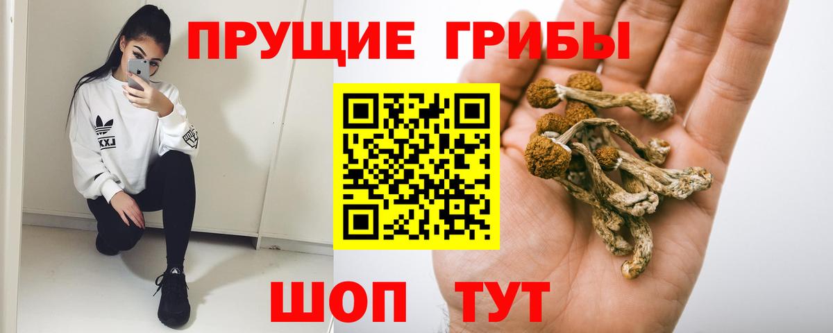 Галлюциногенные грибы мицелий Майкоп