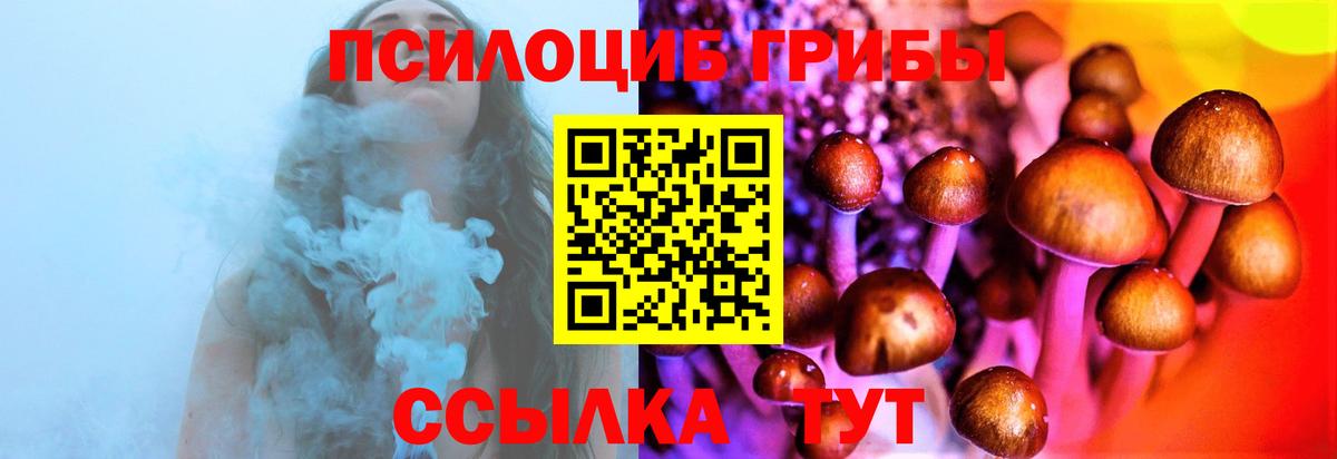 Майкоп  Галлюциногенные грибы MAGIC MUSHROOMS  купить наркоту  Галлюциногенные грибы мухоморы  Вход с VPN 