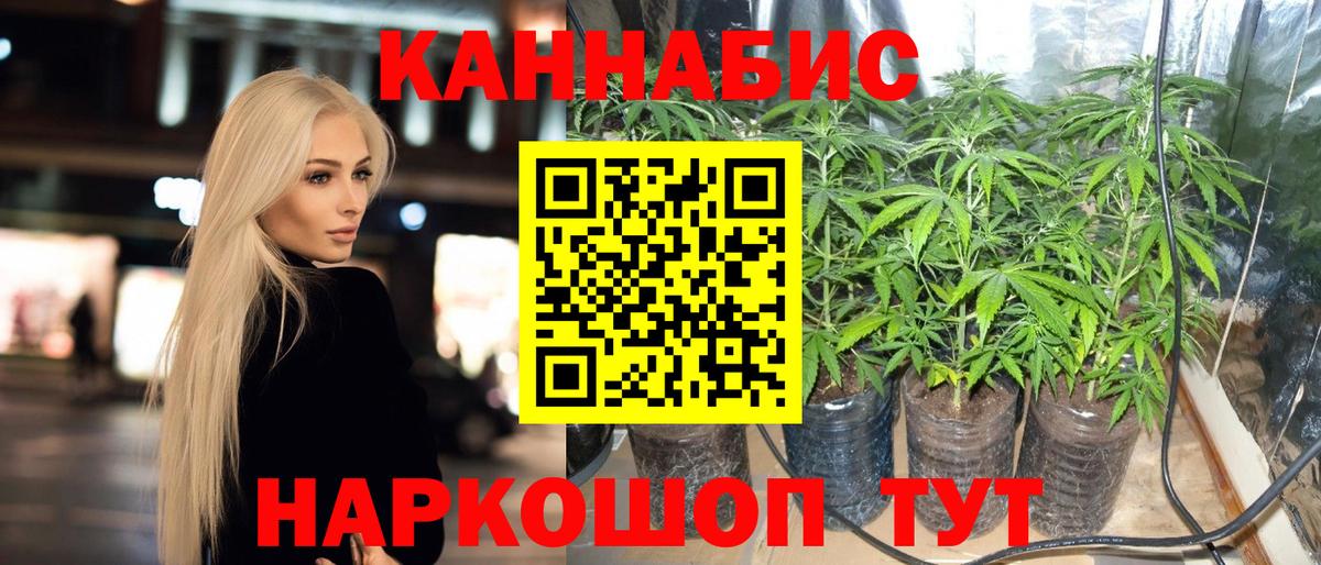 Каннабис Bruce Banner Майкоп